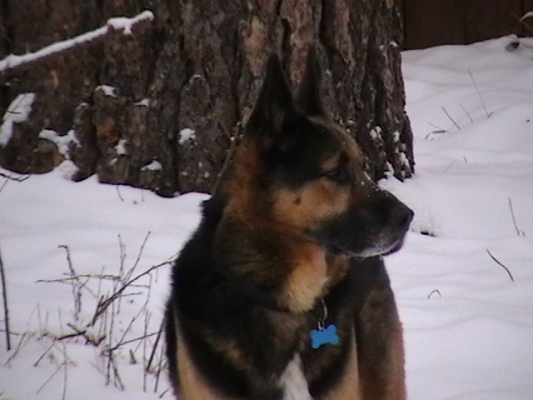 Titus